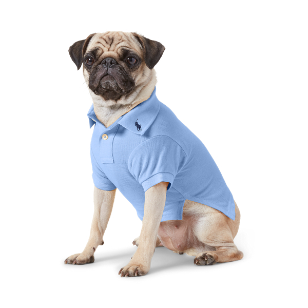 Polo ralph lauren dog shirt best sale