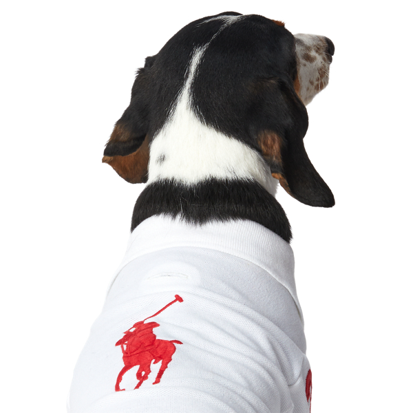 Big Pony Cotton Mesh Dog Polo Shirt | Ralph Lauren® BH