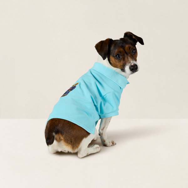 Polo Ralph Lauren 水藍色 Polo 熊棉質網眼小狗 Polo 衫 2