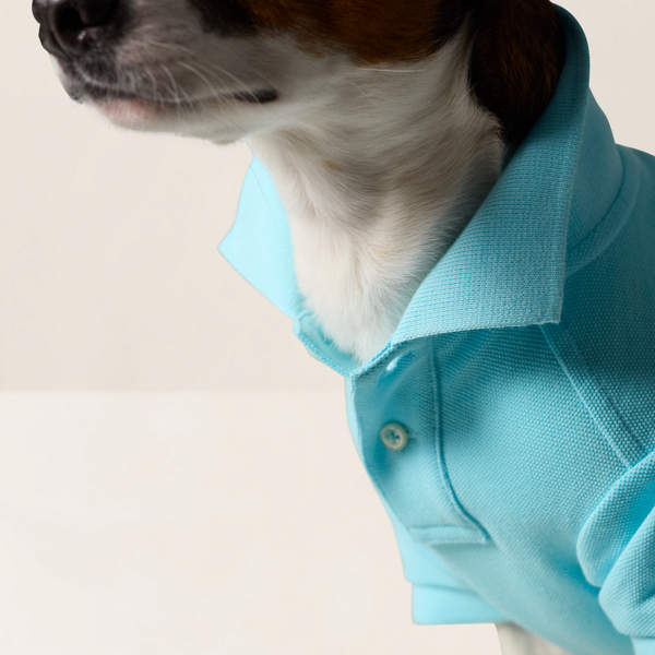 Polo Ralph Lauren 水藍色 Polo 熊棉質網眼小狗 Polo 衫 5