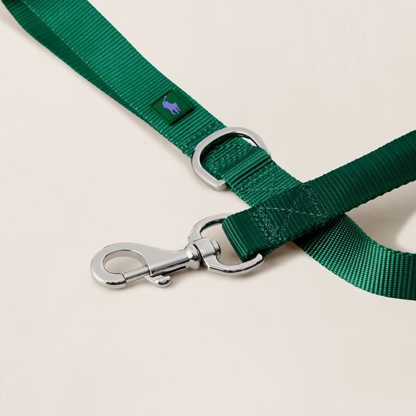 Laisse pour chien en nylon Polo Ralph Lauren Home en New Forest/Violet 2