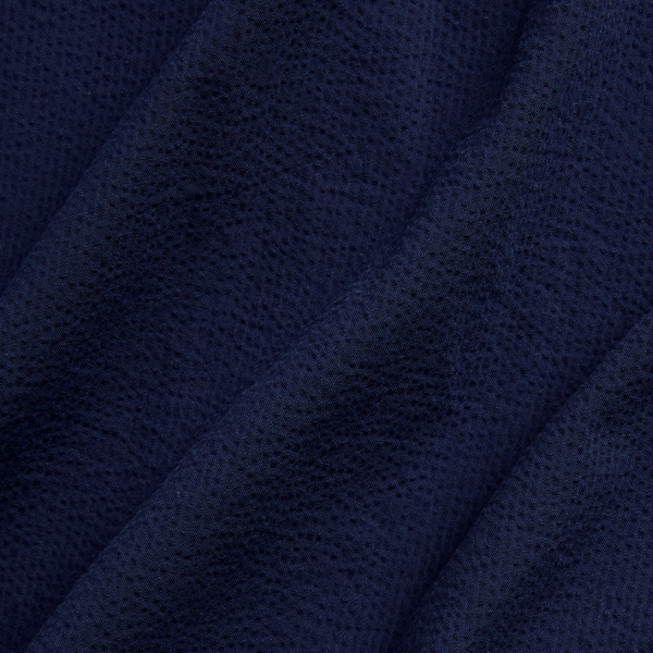 Chemise classique en seersucker Polo Ralph Lauren en Marine Astoria/Blanc 7