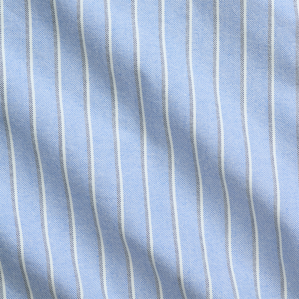 Custom Fit Striped Oxford Shirt
