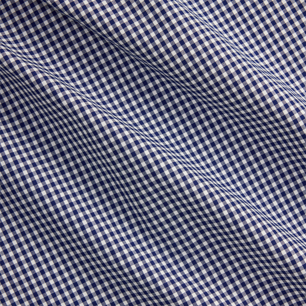 Custom Fit Gingham Stretch Poplin Shirt