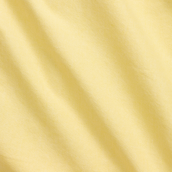 Das legend&auml;re Oxfordhemd Polo Ralph Lauren in Gelb 3