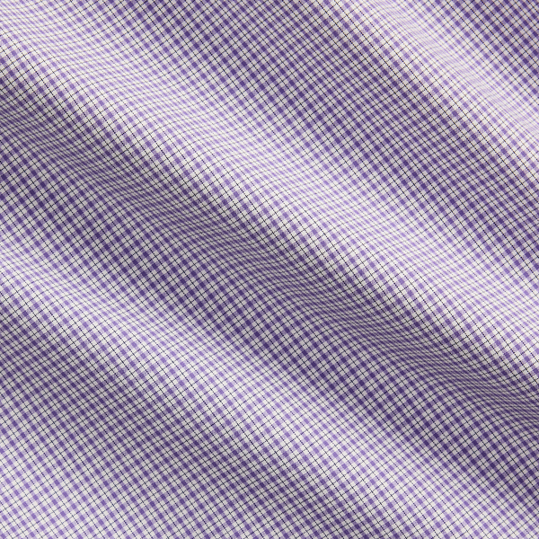 Classic Fit Checked Poplin Shirt