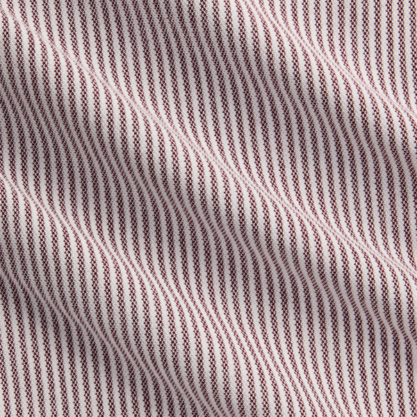 Striped Knit Oxford Shirt