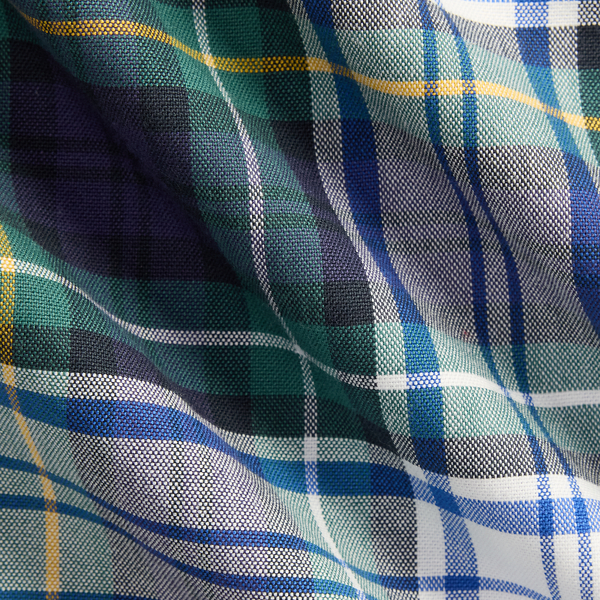 The Big Oxford Shirt