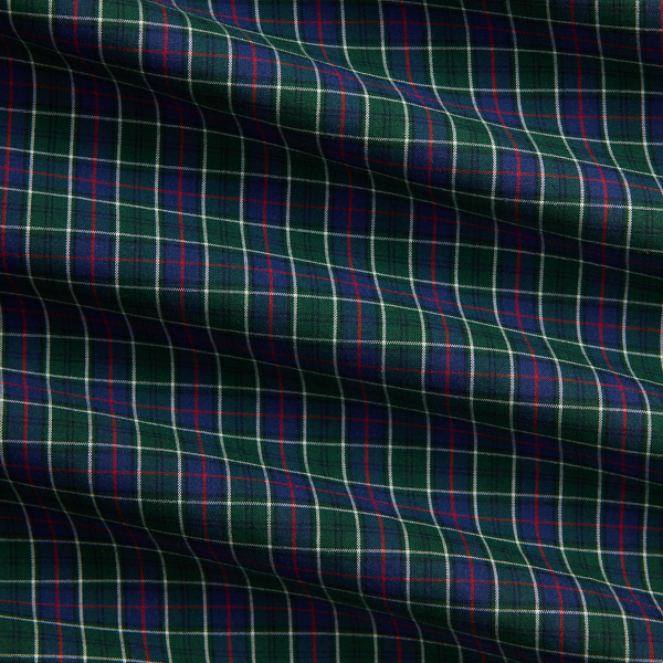 Kariertes Custom-Fit Popelinehemd Polo Ralph Lauren in Navy/Kiefer multi 8