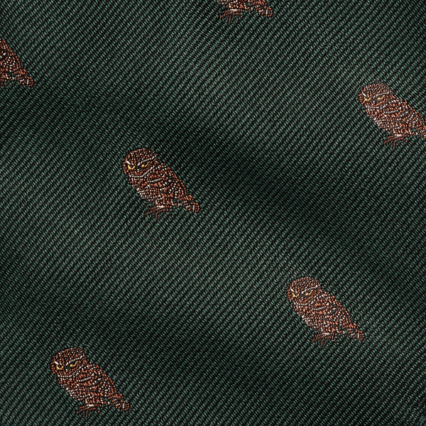 Green Vintage-Inspired Owl Silk Repp Tie Polo Ralph Lauren 3