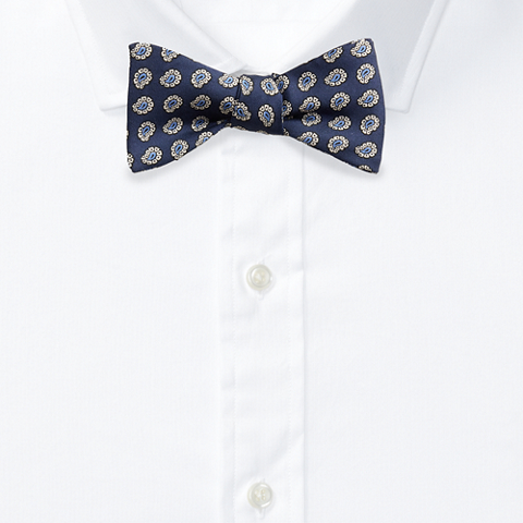 Мужской галстук-бабочка Ralph Lauren Silk Foulard Bow Tie, цвет: Тёмно-синий / Белый