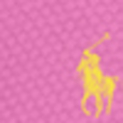 Fuchsia/Multi Ponies