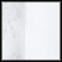 White W/ White