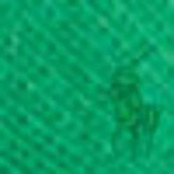 Kayak Green