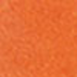 Seville Orange