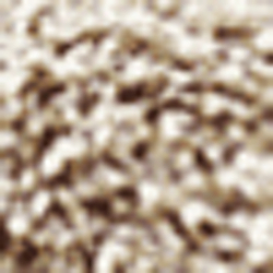 New Linen