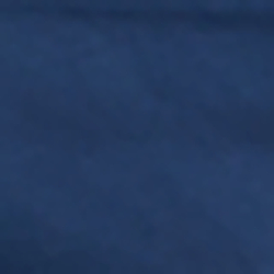 Polo Navy