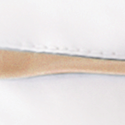 Burnished Chamois