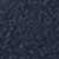 Polo Navy / Gold