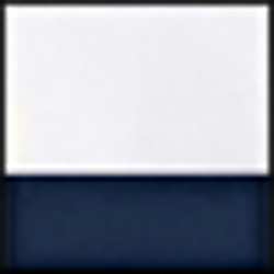 Polo Navy