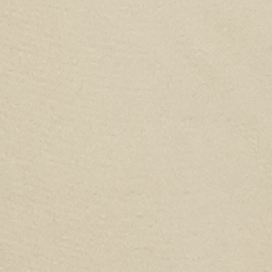 Hudson Tan