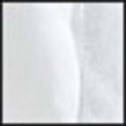 White W White