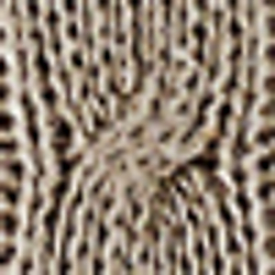 Oatmeal