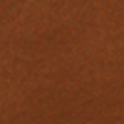 Saddle Brown