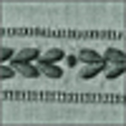 Burlap
