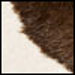 Zebra Print/Dark Brown