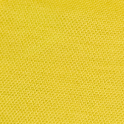 Spring Yellow