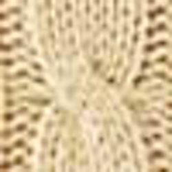 Burnished Chamois