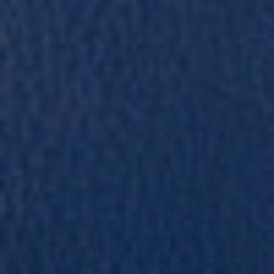 Marine Navy
