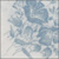 White Blue Multi