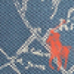 Indigo Print