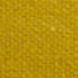 Slicker Yellow