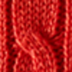 Equestrian Orange