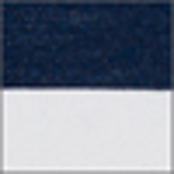 Polo Navy