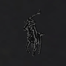 Polo Black