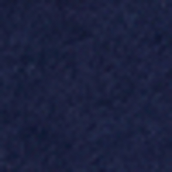 French Navy
