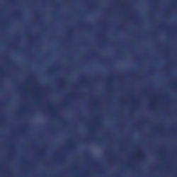 French Navy