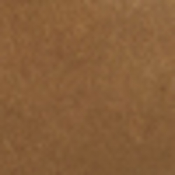 Polo Tan