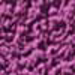 Society Violet