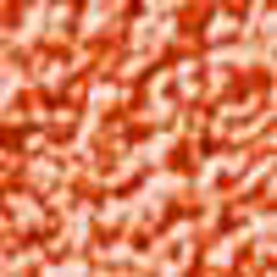 Equestrian Orange