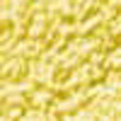 Slicker Yellow