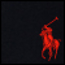 Polo Black