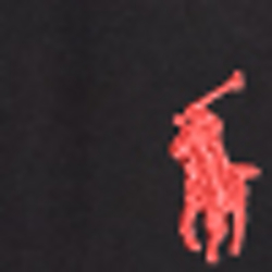 Polo Black