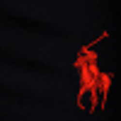 Polo Black