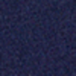 Cruise Navy
