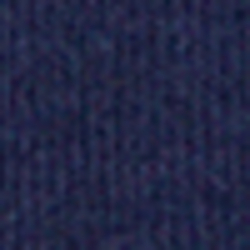 Cruise Navy